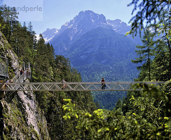 Leutaschklamm  Leutaschtal  Brücke  Geisterklamm  Leutascher Ache  Wettersteingebirge  Tirol  Österreich