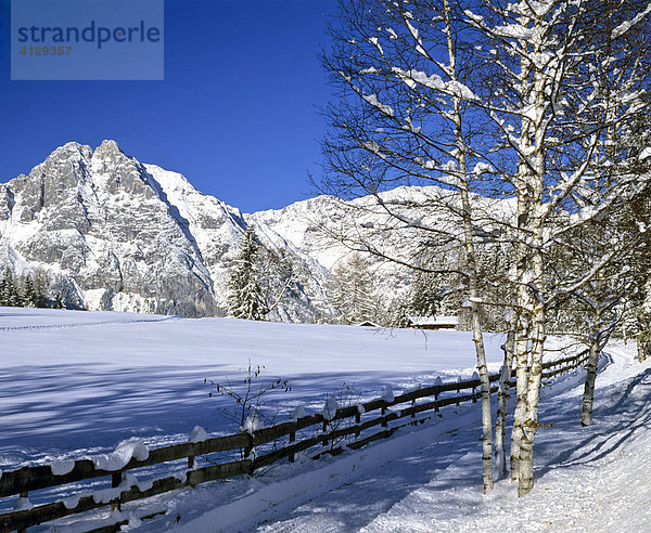 Leutaschtal  Öfelekopf mit Wettersteinwand  Winter  Wettersteingebirge  Tirol  Österreich