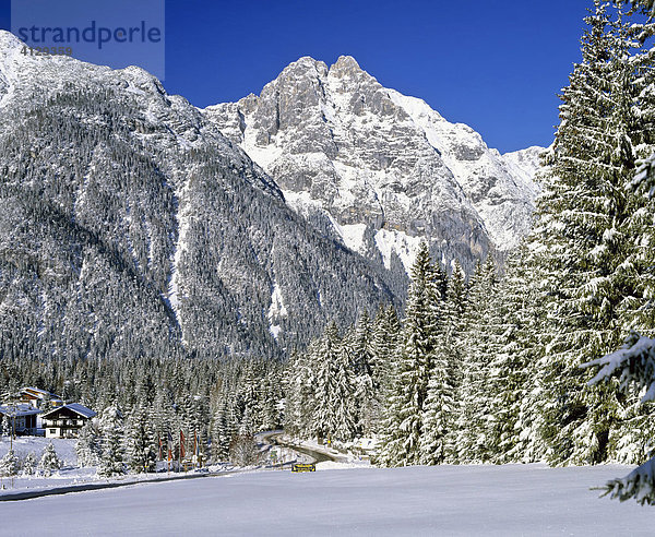 Leutaschtal  Öfelekopf  Winter  Wettersteingebirge  Tirol  Österreich