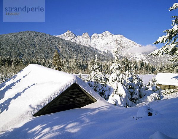 Ahrnspitzen bei Seefeld  Winter  Wettersteingebirge  Tirol  Österreich