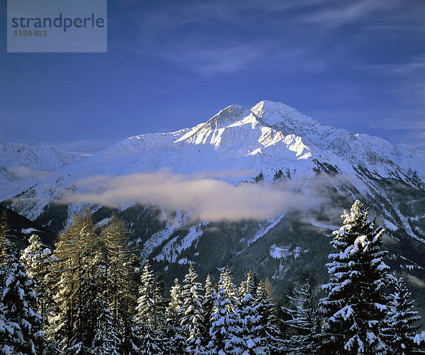 Hocheder in den Stubaier Alpen  Winter  Winterwald  Österreich