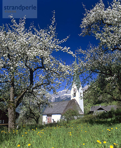 Kirche  Frühling  Bruck am Ziller  Zillertal  Tirol  Österreich