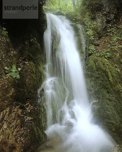 Wasserfall mit Kaskaden  Felsgestein  Chiemgau  Oberbayern  Deutschland