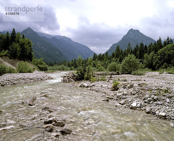 Fischbach bei Laubau  Ruhpolding  links Adlerkopf  rechts Saurüssel  Chiemgauer Alpen  Oberbayern  Deutschland