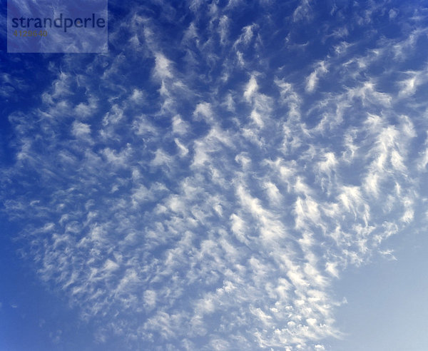 Schäfchenwolken  (Cirrocumulus)