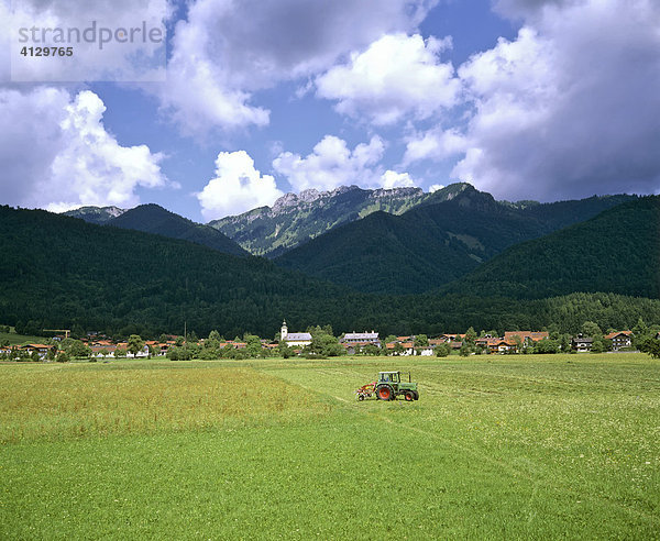 Schleching mit Kampenwand  Chiemgauer Alpen  Traktor  Landwirtschaft  Chiemgau  Oberbayern  Deutschland