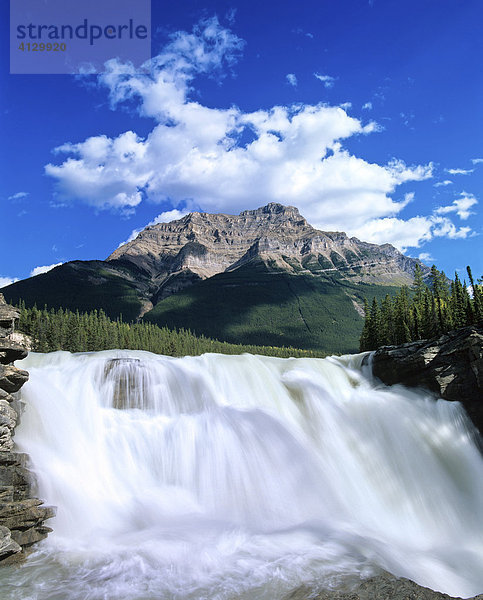 Athabasca Falls  Wasserfall  Athabasca River  Jasper-Nationalpark  Alberta  Kanada