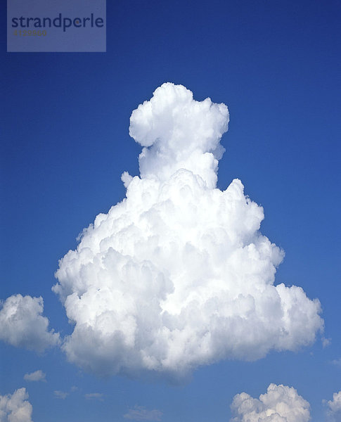 Cumulus  Haufenwolken  pyramidenform  blauer Himmel