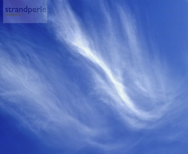 Cirrus  Federwolke  blauer Himmel