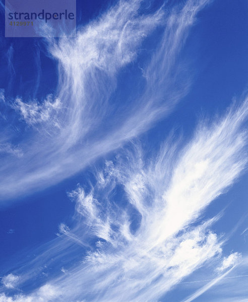 Cirrus  Federwolke  blauer Himmel
