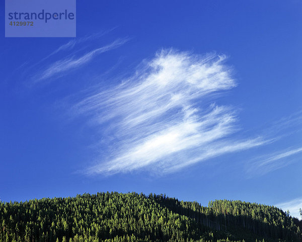 Cirrus  Federwolke  blauer Himmel