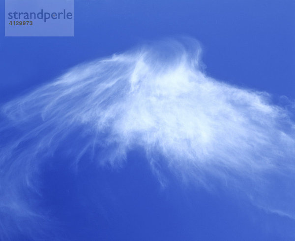 Cirrus  Federwolke  blauer Himmel  Form eines Gespenstes  Geist