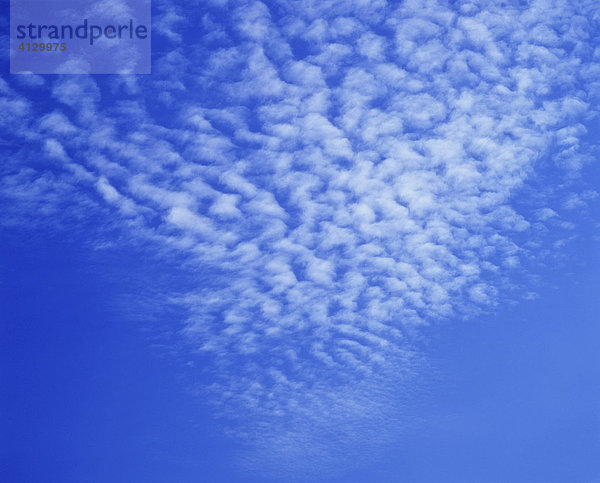 Cirrocumulus  kleine Schäfchenwolken  blauer Himmel