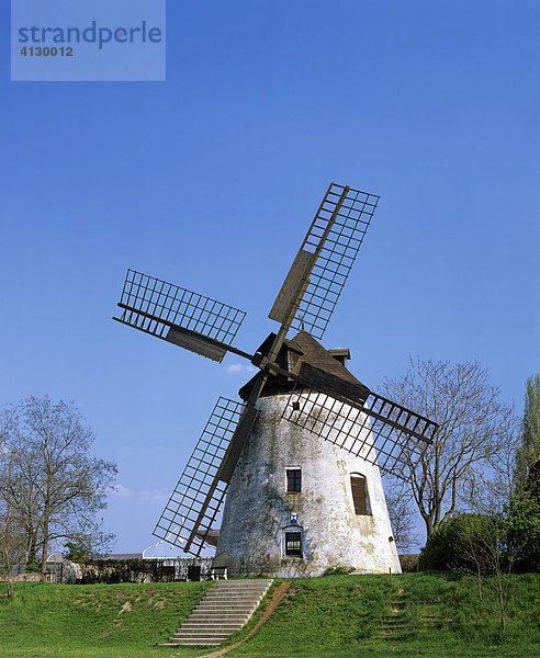 Windmühle Podersdorf am See  Burgenland  Österreich