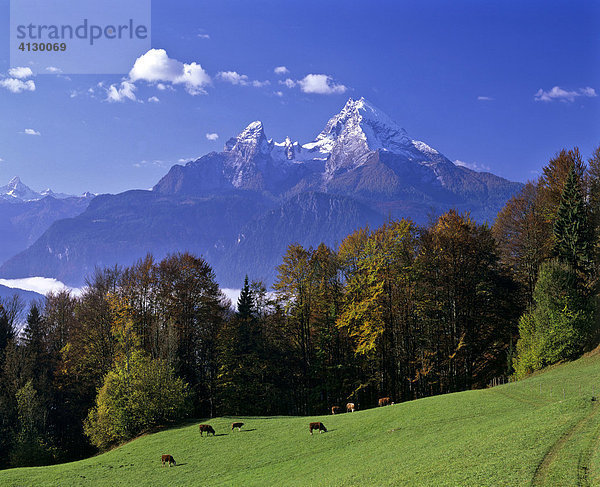 Blick zum Watzmann  Herbst  Berchtesgadener Land  Oberbayern  Bayern  Deutschland