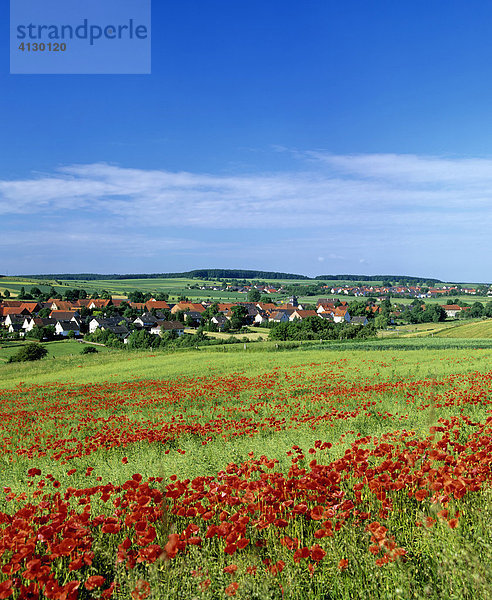 Niederlistingen und Oberlistingen bei Breuna  LK Kassel  Panorama  Mohnfeld  Nordhessen  Hessen  Deutschland