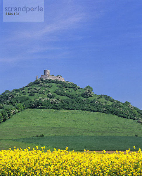 Burg Desenberg auch Daseburg  Burgruine  Warburger Börde  Nordrhein-Westfalen  Deutschland