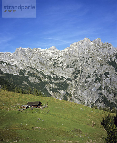 Tennengebirge  Eiskogel  Elmau-Alm  Almwiese  Salzburger Land  Österreich