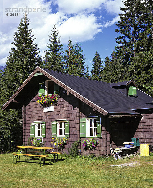 Wohnhütte am Bergwald  Salzburger Land  Österreich