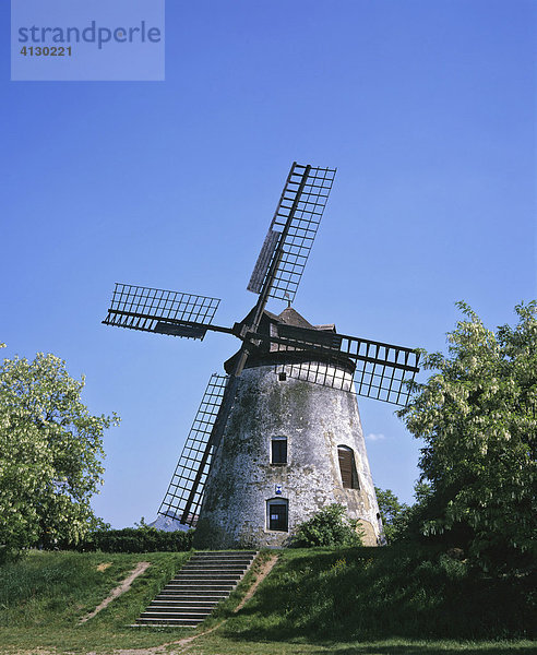 Windmühle  Podersdorf am See  Burgenland  Österreich