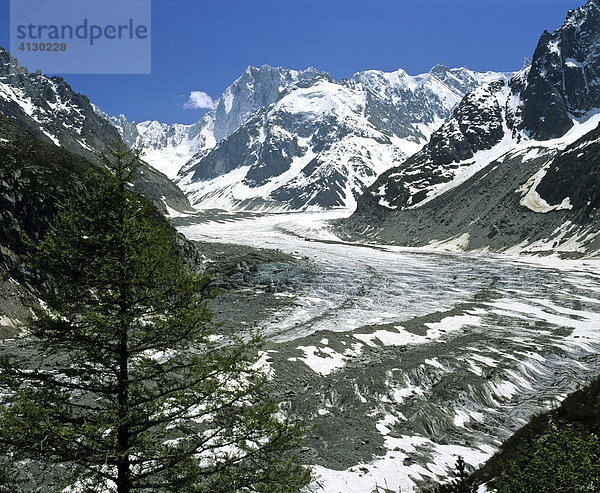 Mer de Glace vom Montenvers Aussichtspunkt  Grand Jorasses  Savoyer Alpen  Frankreich