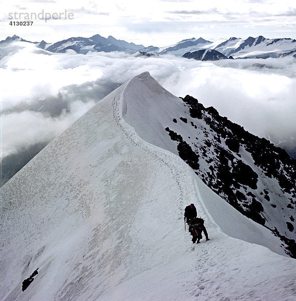 Bergsteiger am Ortler Hintergrat  Ortlergruppe  Südtirol  Grenze zur Lombardei  Italien