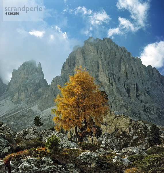 Fünffingerspitze  Langkofel-Gruppe  Dolomiten  Südtirol  Italien