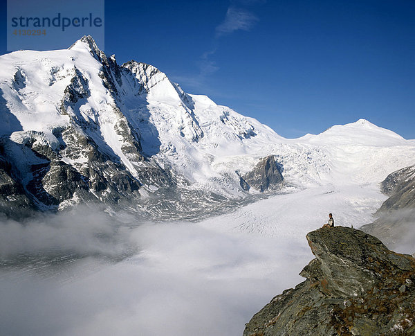 Großglockner  oberhalb der Pasterze  Gletscher  Kärnten  Österreich