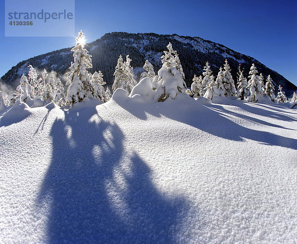 Winterlandschaft im Isartal  Karwendelgebirge  Oberbayern  Bayern  Deutschland