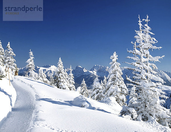 Winterlandschaft auf dem Wank  Estergebirge  Oberbayern  Bayern  Deutschland