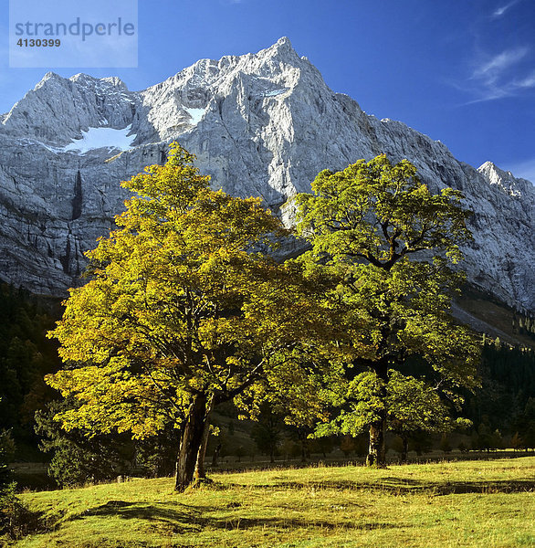 Grosser Ahornboden  Herbst Spritzkarspitze  Eiskarln  Karwendelgebirge  Tirol  Österreich