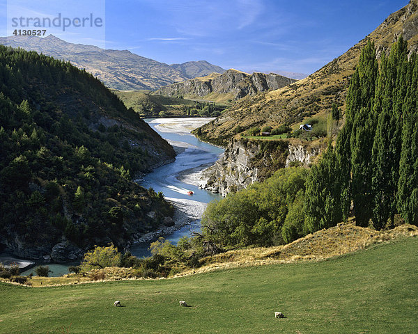 Shotover River  Jetboot  Arthurs Point  Queenstown  Südinsel Neuseeland