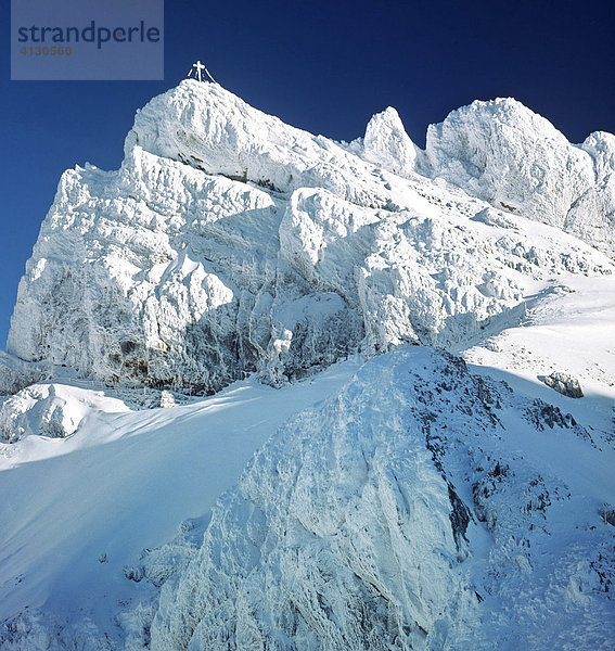 Westliche Karwendelspitze  Gipfelkreuz  Winter  Karwendelgebirge  Oberbayern  Deutschland