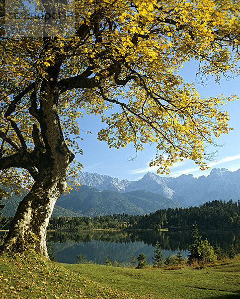 Barmsee  Panorama mit Karwendelgebirge  Herbst  Krün  Oberbayern  Bayern  Deutschland
