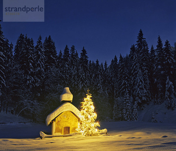 Kapelle bei Elmau  Dämmerung  verschneite Winterlandschaft  Christbaum  Weihnachten  Oberbayern  Bayern  Deutschland