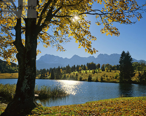 Herbststimmung am Geroldsee  Gerold  Karwendelgebirge  Oberbayern  Bayern  Deutschland