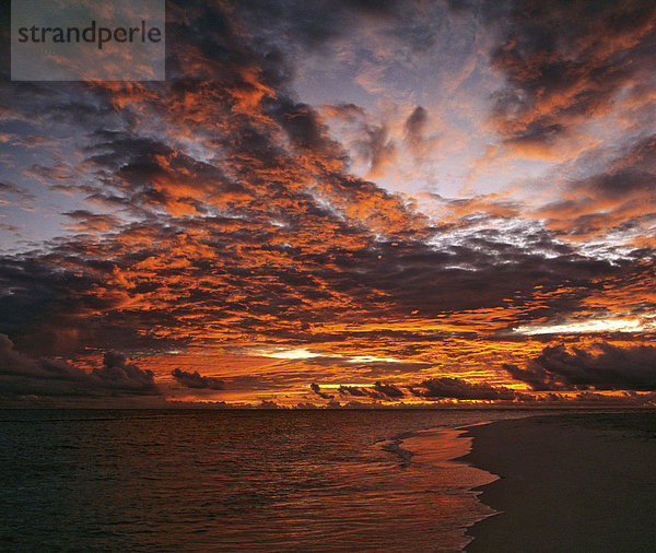 Grandioser Sonnenuntergang am Strand  Malediven  Indischer Ozean