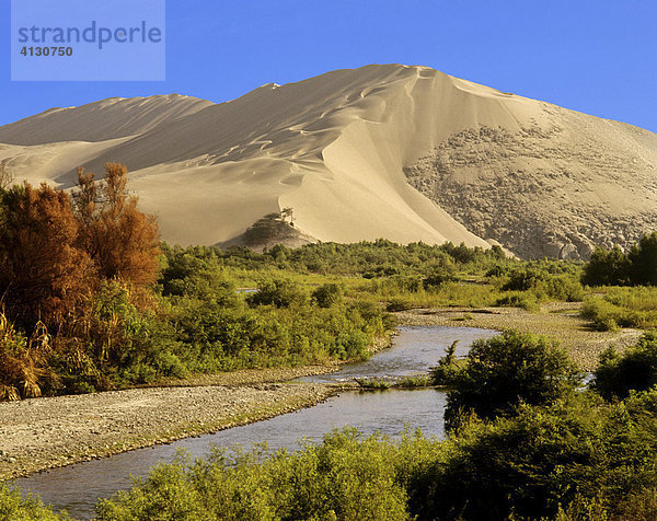 Küstenwüste mit Sanddünen  bei Casma  Peru  Südamerika