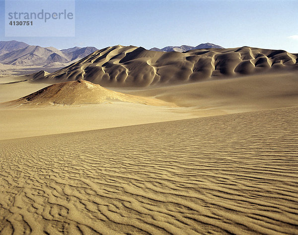 Küstenwüste mit Sanddünen  bei Casma  Peru  Südamerika