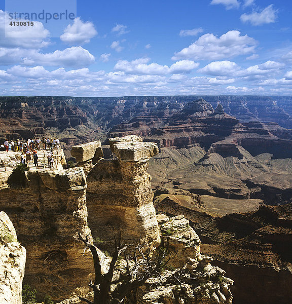 Grand Canyon  Aussichtspunkt  Colorado  Colorado-Plateau  Arizona  USA