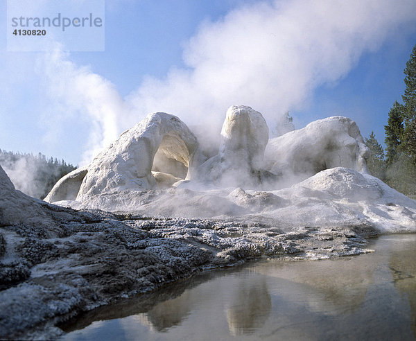 Grotto Geysir im oberen Geysir-Becken  Yellowstone National Park  Wyoming  USA