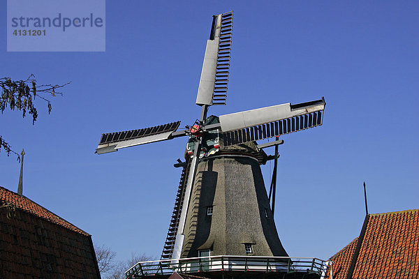 Alte holländische Windmühle in Oudeschild  Texel  Holland  Niederlande  Europa