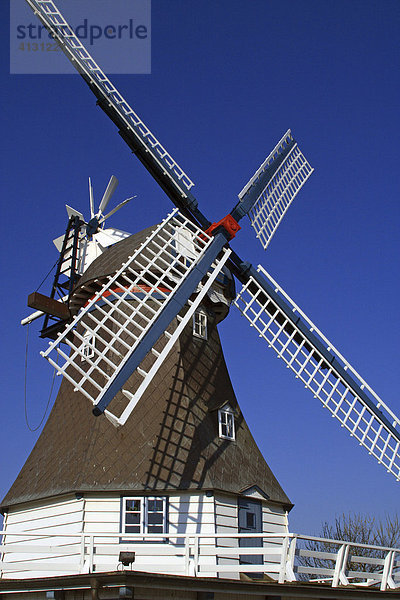 Alte Windmühle vom Bautyp Bergholländer (Kellerholländer) mit Namen Vergissmeinnicht - Friedrichskoog  Kreis Dithmarschen  Schleswig-Holstein  Deutschland  Europa