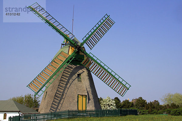 Alte Windmühle vom Bautyp Kellerholländer  Nebel  Insel Amrum  Kreis Nordfriesland  Schleswig-Holstein  Deutschland  Europa