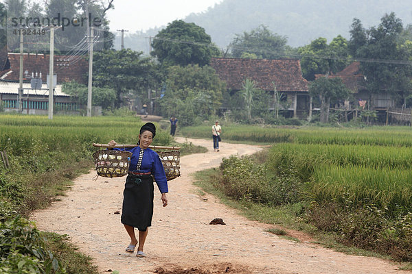 Bäuerin bringt ihre Ernte zum Markt  Chien Koi  Provinz Son La  Vietnam  Asien