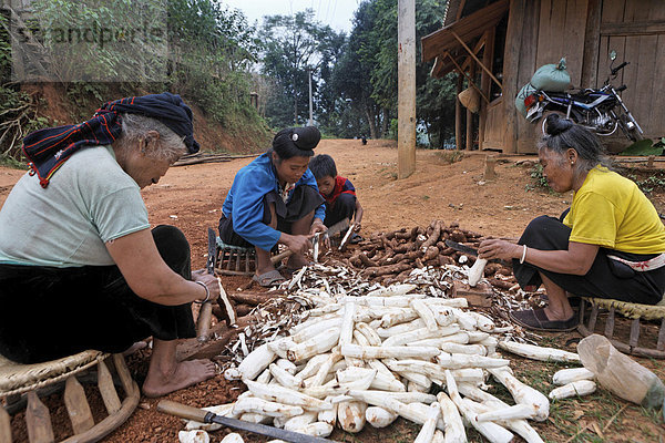 Frauen schälen Maniok Wurzelknollen  Bergdorf Chien Koi  Provinz Son La  Vietnam  Asien