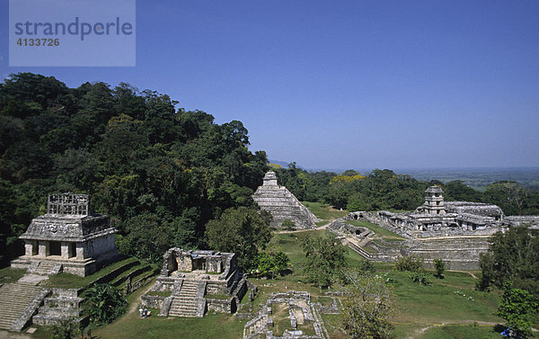 Blick über die Tempel von Palenque  Chiapas  Mexiko  Nordamerika