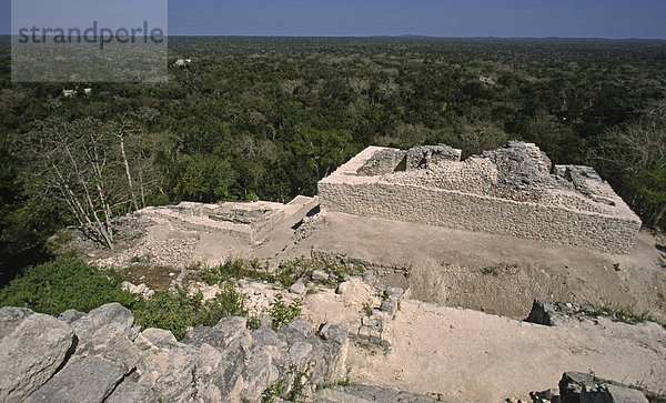 Ruinenstadt Calakmul  Mexiko  Nordamerika