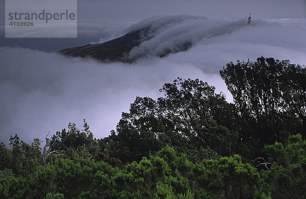 Wolken über dem Nationalpark Garajonay  La Gomera  Kanarische Inseln  Spanien