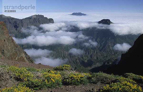 Blick vom Aussichtspunkt mirador de los Andenes in den Krater Caldera de Taburiente  La Palma  Kanarische Inseln  Spanien